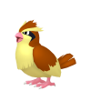 Pidgey