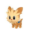 Lillipup