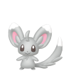 Minccino